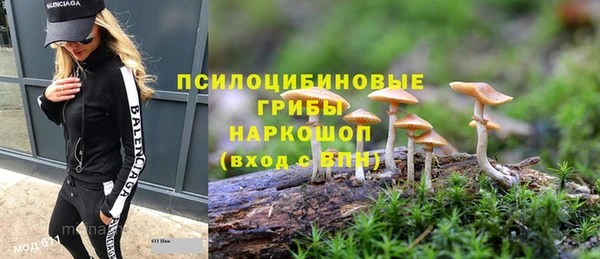 герыч Горняк