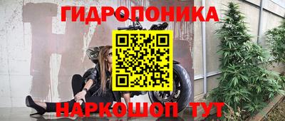 крисы Бугуруслан