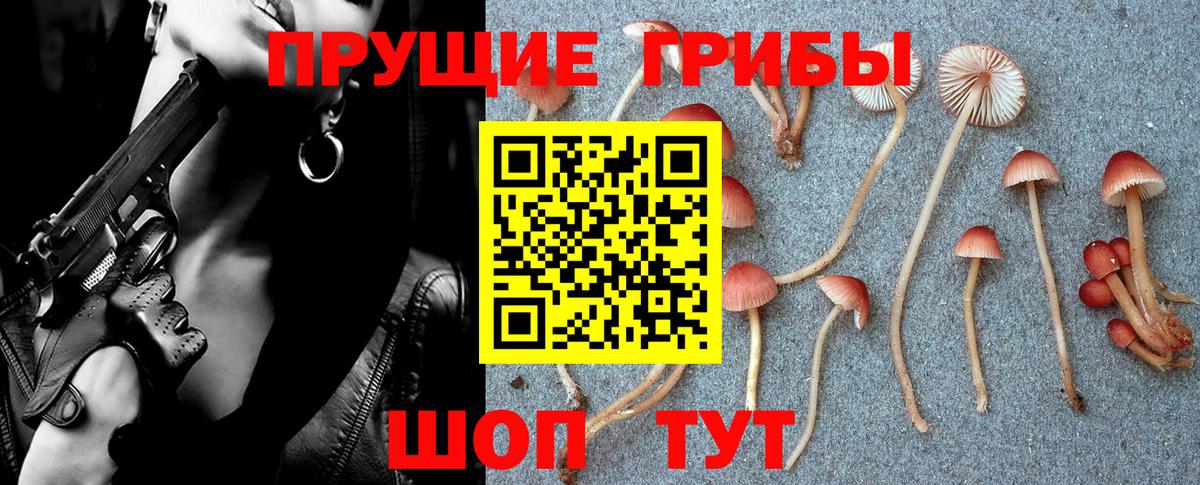 Псилоцибиновые грибы MAGIC MUSHROOMS  Галлюциногенные грибы Psilocybe  Добрянка 