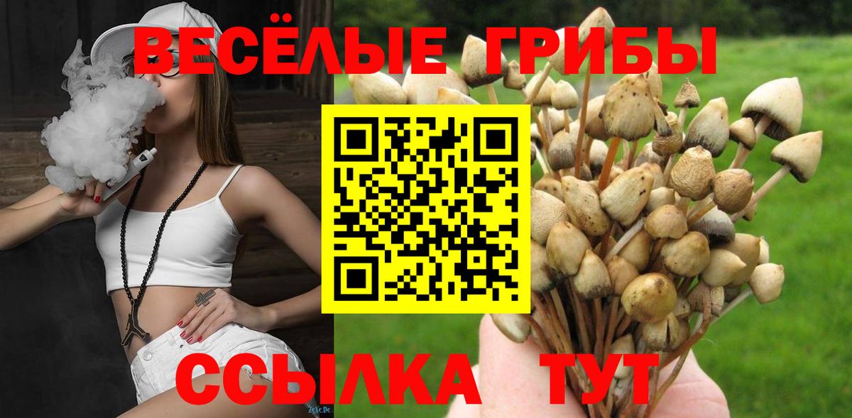 Добрянка  Галлюциногенные грибы мухоморы  Вход с VPN 